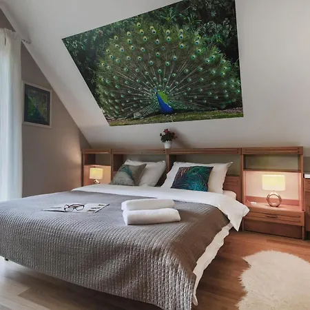 Apartment Aviator Jaworze