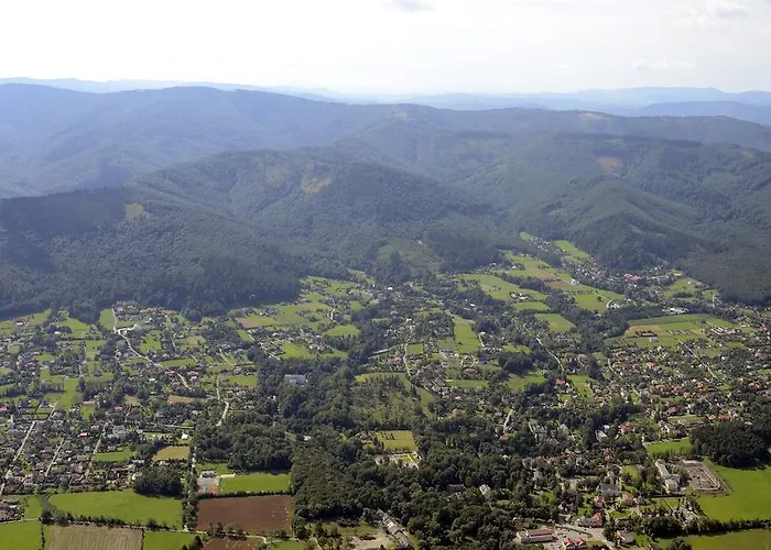 Aviator ヤボジェ